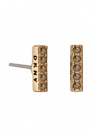 Moteriški auskarai DKNY...