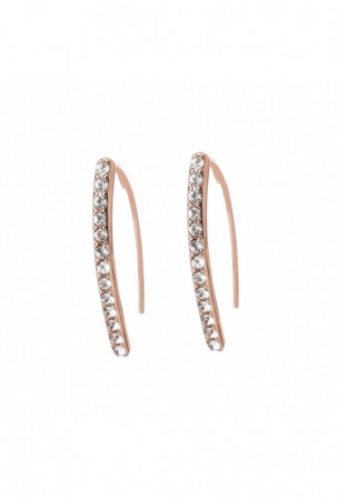 Moteriški auskarai Adore...