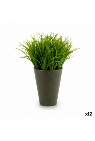 Dekoratyvinis augalas...