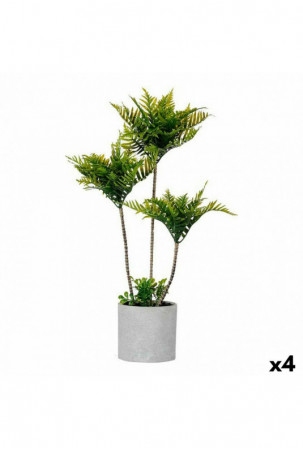 Dekoratyvinis augalas Palmė...