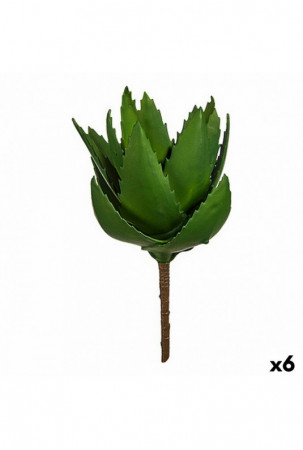 Dekoratyvinis augalas...