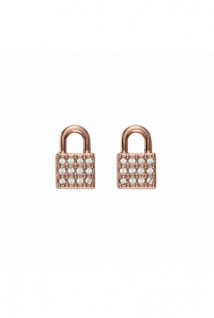 Moteriški auskarai DKNY...