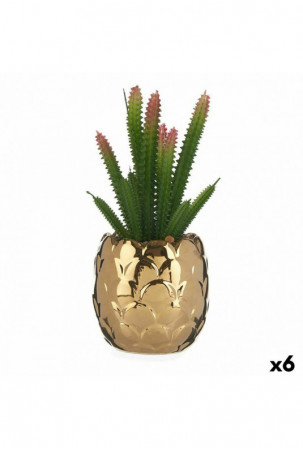 Dekoratyvinis augalas...