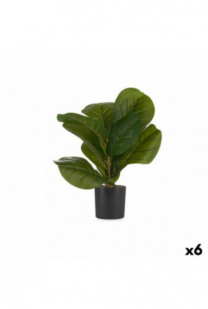 Dekoratyvinis augalas 9,5 x...