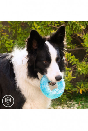 2-in-1 šaldomas naminių...