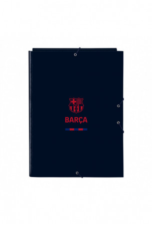 Papkė su skyriais F.C....