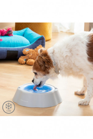 Vėsinantis vandens indas...