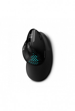 Ergonomiška optinė pelė...