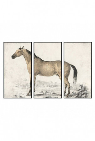 Paveikslas DKD Home Decor...