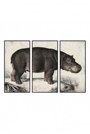 Drobė DKD Home Decor 3...