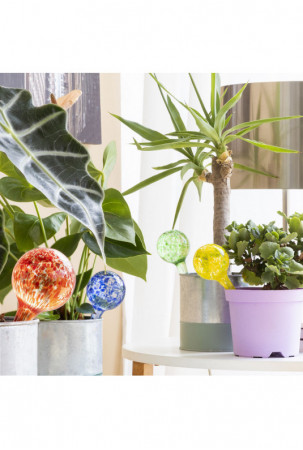 Automatiniai laistymo...