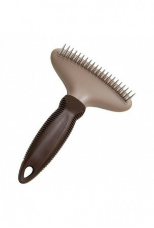 Šunų šepetys Gloria