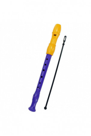 Muzikinis žaislas Reig...