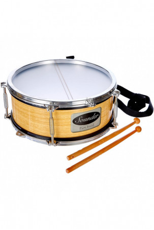 Muzikinis žaislas Reig...