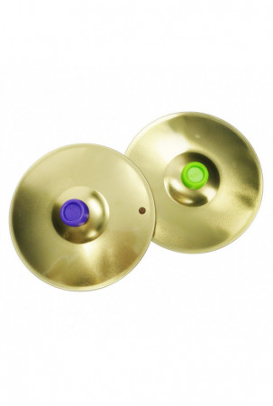 Muzikinis žaislas Reig...