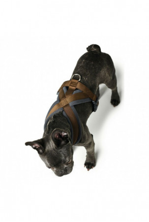 Šuns pakinktai Hunter...