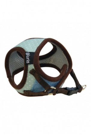 Šuns pakinktai Gloria...