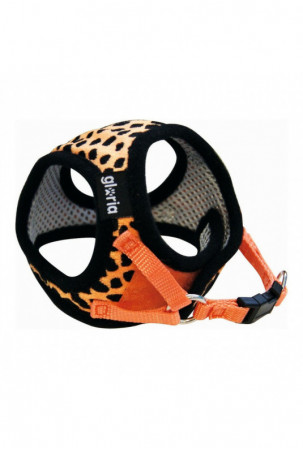 Šuns pakinktai Gloria...