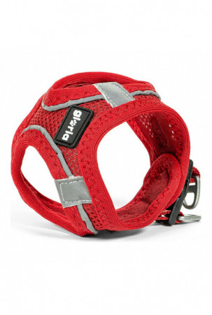 Šuns pakinktai Gloria Air...