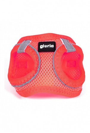 Šuns pakinktai Gloria Air...