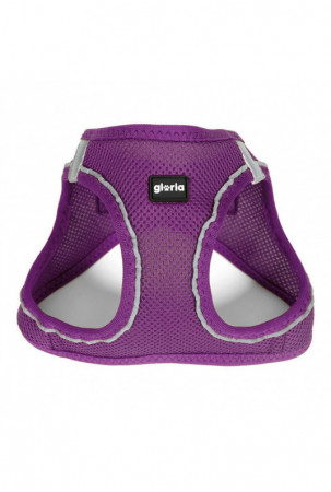 Šuns pakinktai Gloria Air...