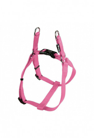 Šuns pakinktai Gloria Lygus...