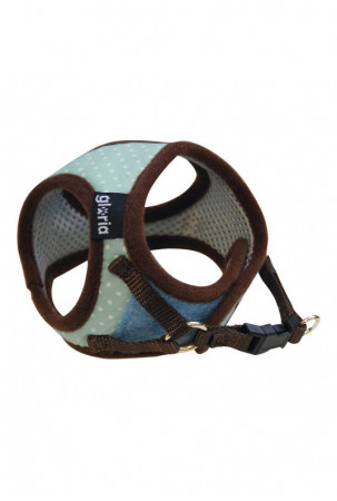 Šuns pakinktai Gloria...