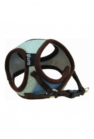 Šuns pakinktai Gloria...