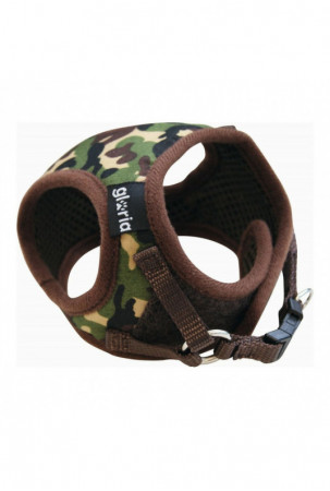 Šuns pakinktai Gloria...