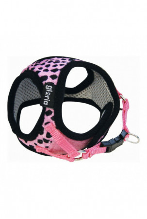 Šuns pakinktai Gloria...