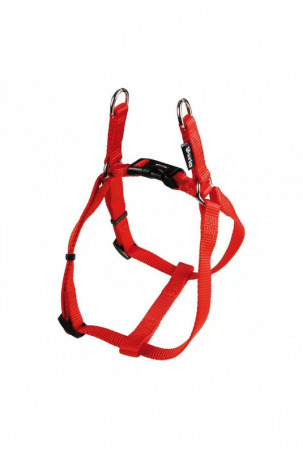 Šuns pakinktai Gloria Lygus...