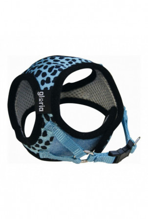 Šuns pakinktai Gloria...