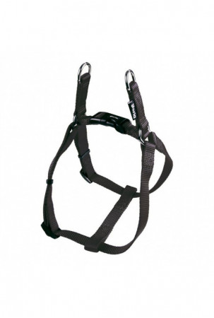 Šuns pakinktai Gloria...