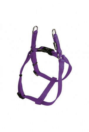 Šuns pakinktai Gloria Lygus...