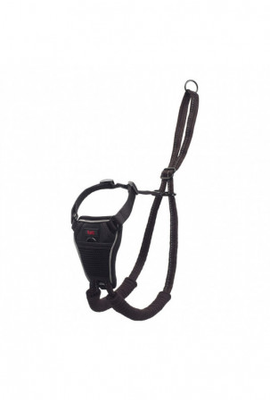 Šuns pakinktai Company of...