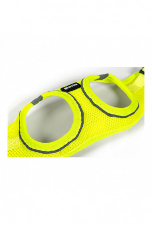 Šuns pakinktai Gloria Air...