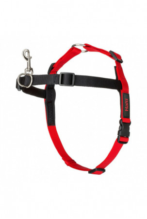 Šuns pakinktai Company of...