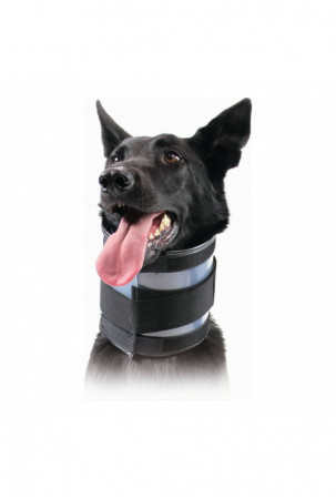 Gimdos kaklelio apykaklė...