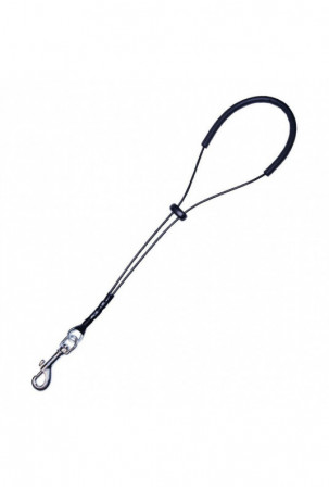 Diržai gyvūnams Gloria Katė...