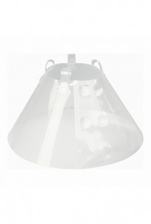 Elžbietos laikų šunų...