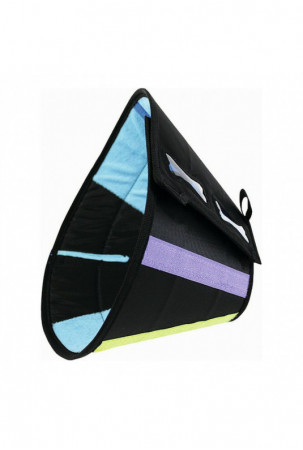 Elžbietos laikų šunų...