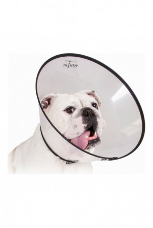 Elžbietos laikų šunų...