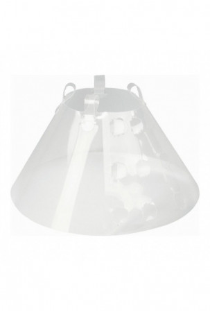 Elžbietos laikų šunų...