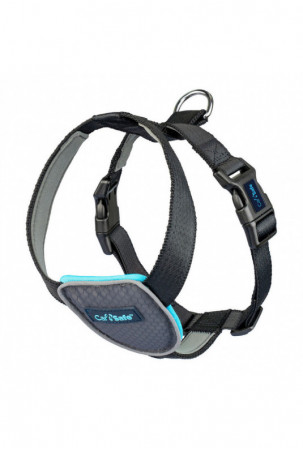 Šuns pakinktai Company of...