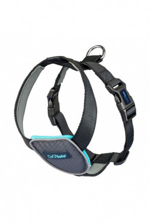 Šuns pakinktai Company of...