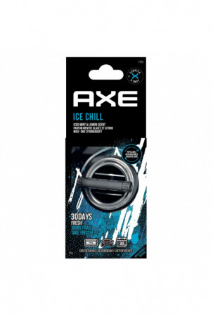 Automobilio oro gaiviklis...