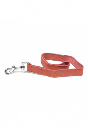 Šuns pavadėlis Gloria Oasis...