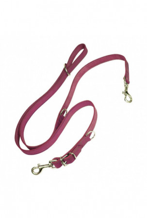 Šuns pavadėlis Gloria Oasis...