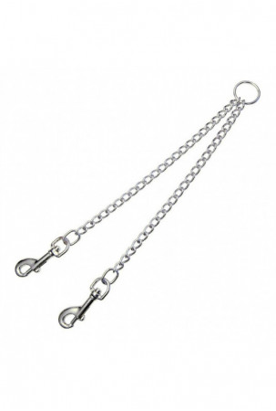 2 šunų švino mova Gloria...