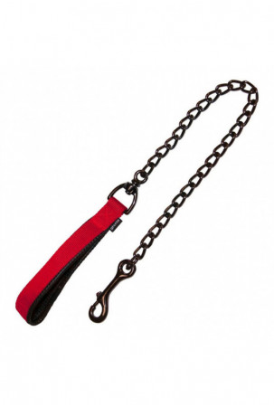 Šuns pavadėlis Gloria...